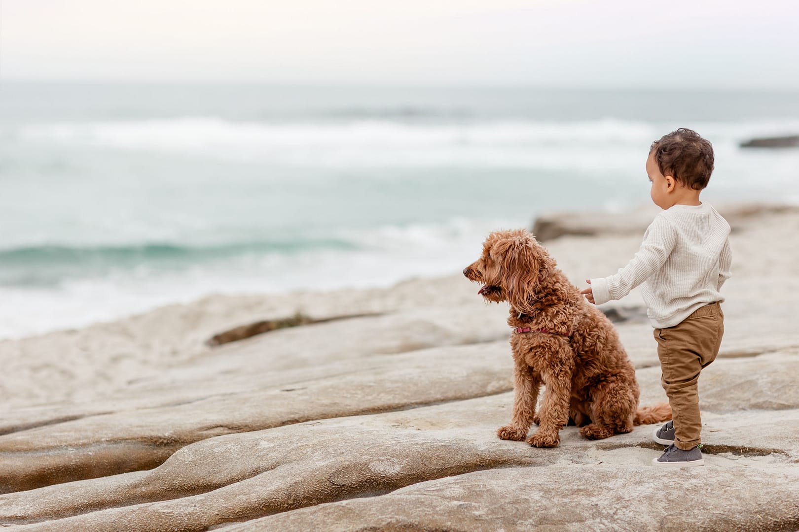 Windansea Beach La Jolla Portrait Picture of little boy with his dog by the ocean